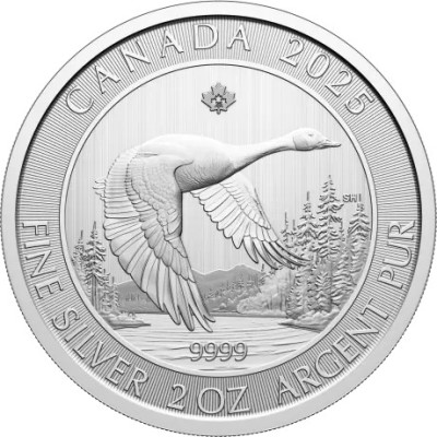 Žąsis - 2 oz - sidabrinė investicinė moneta