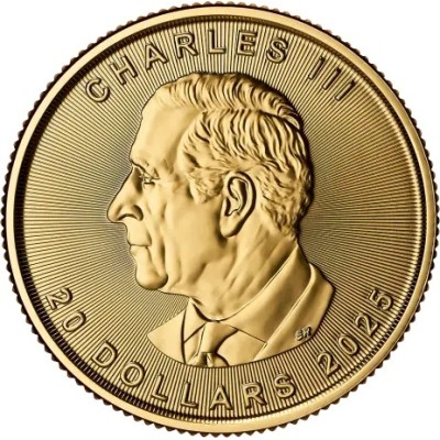Klevo lapas (2025) - 1/2 Oz - Auksinė moneta