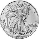 Amerikos erelis (2025) - 1 Oz - investicinė sidabro moneta