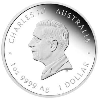 "One Love" 2025 - 1 oz - sidabrinė moneta