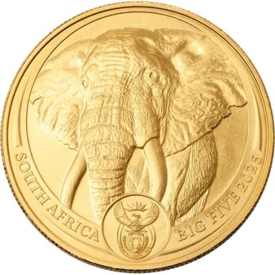 Didysis penketukas dramblys (2025) - 1 oz - Auksinė moneta