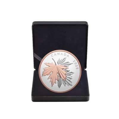 Spindintys klevo lapai - 10 oz - sidabrinė kolekcinė moneta (pristatymas 12.6.2025)