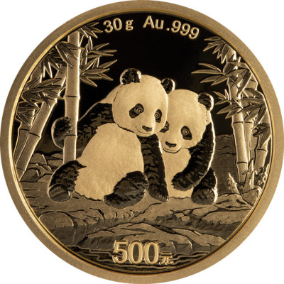 Panda (2026) - 30g - auksinė investicinė moneta