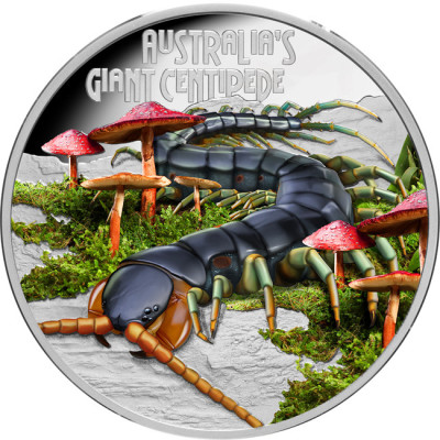Milžiniška šimtakojė (2026) - 1 oz kolekcinė sidabro moneta