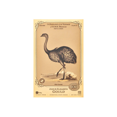 John and Elizabeth Gould Aurum - H.M.S. Beagle kolekcija