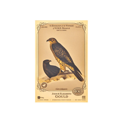 John and Elizabeth Gould Aurum - H.M.S. Beagle kolekcija