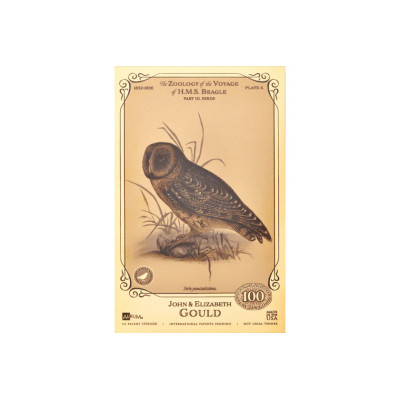 John and Elizabeth Gould Aurum - H.M.S. Beagle kolekcija