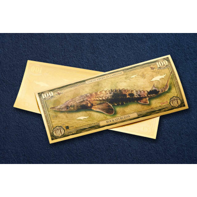 Uolinis eršketas - 24 karatų aukso banknotas - I serija