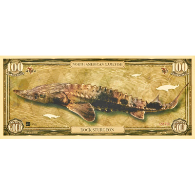 Uolinis eršketas - 24 karatų aukso banknotas - I serija